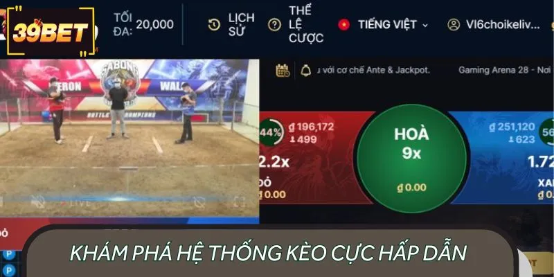 Giới thiệu các nhóm kèo thường xuất hiện