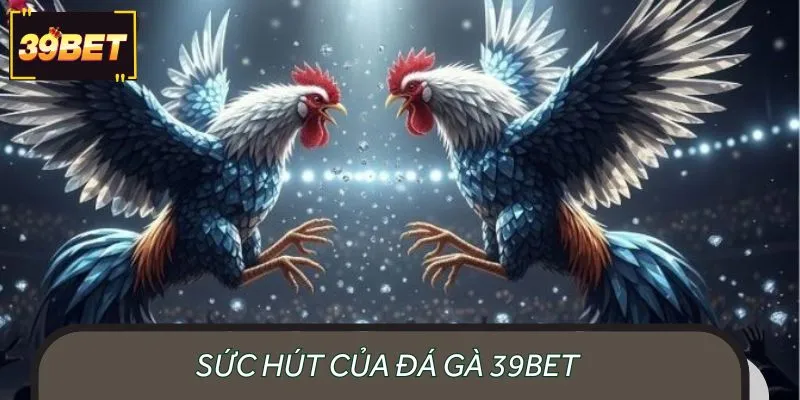 Đá gà 39BET là xu hướng giải trí cực Hot