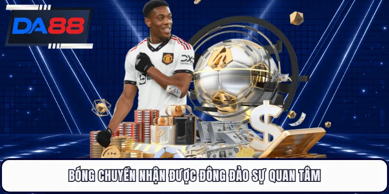 Bóng chuyền nhận được đông đảo sự quan tâm