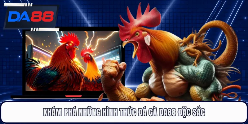 Khám phá những hình thức đá gà DA88 đặc sắc