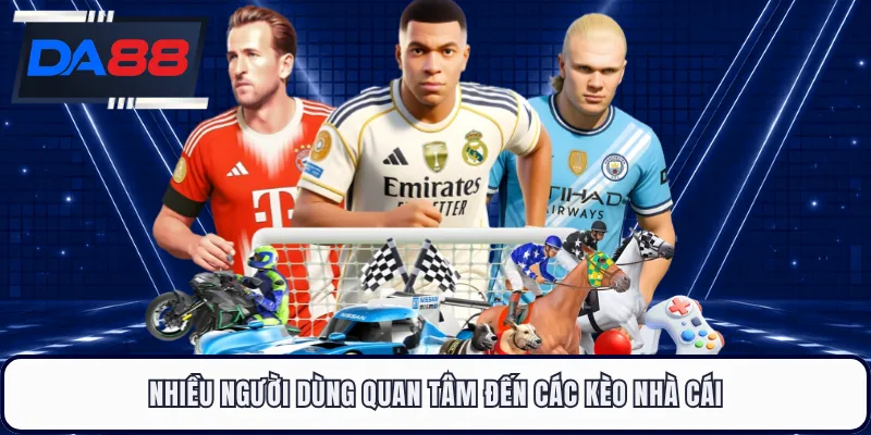 Nhiều người dùng quan tâm đến các kèo nhà cái