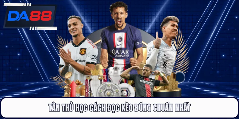 Tân thủ học cách đọc kèo đúng chuẩn nhất